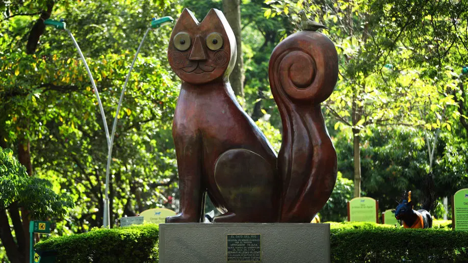 abogados laborales especialistas en cali